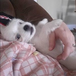 Meet your Posher, Colby